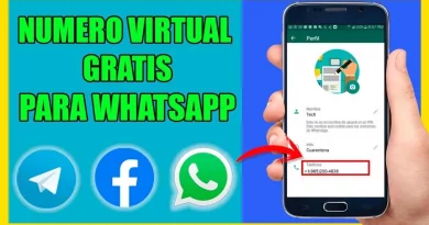 Numero Virtual WhatsApp