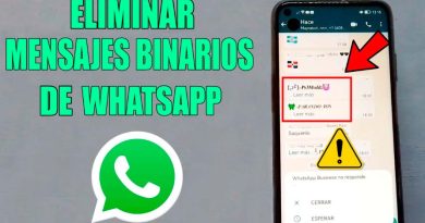 Que son los binarios en WhatsApp
