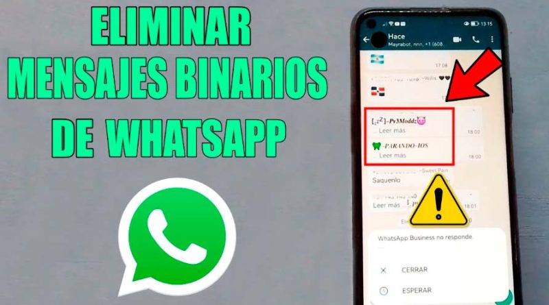 Que son los binarios en WhatsApp