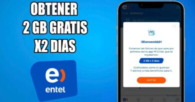 Entel Bono